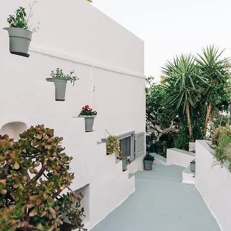 Yiayias Sifnos