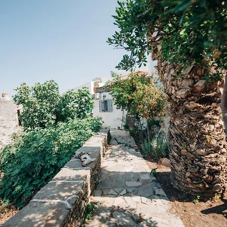 Yiayias Sifnos
