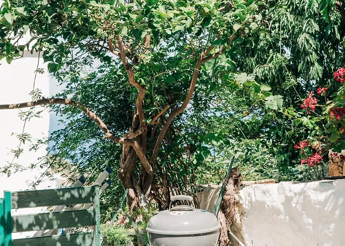 Yiayias Sifnos Dom wakacyjny